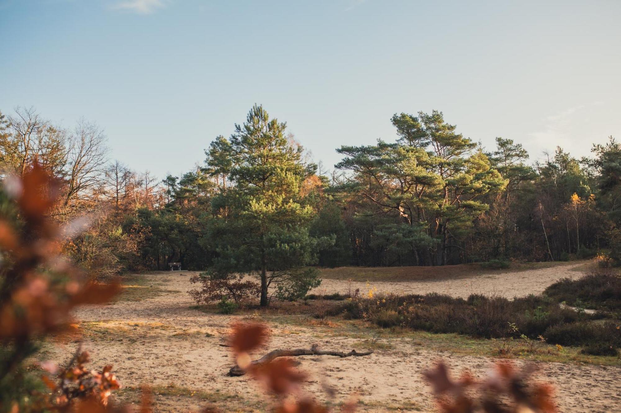 Drents Genieten - Lavendelheide Erm Exterior foto