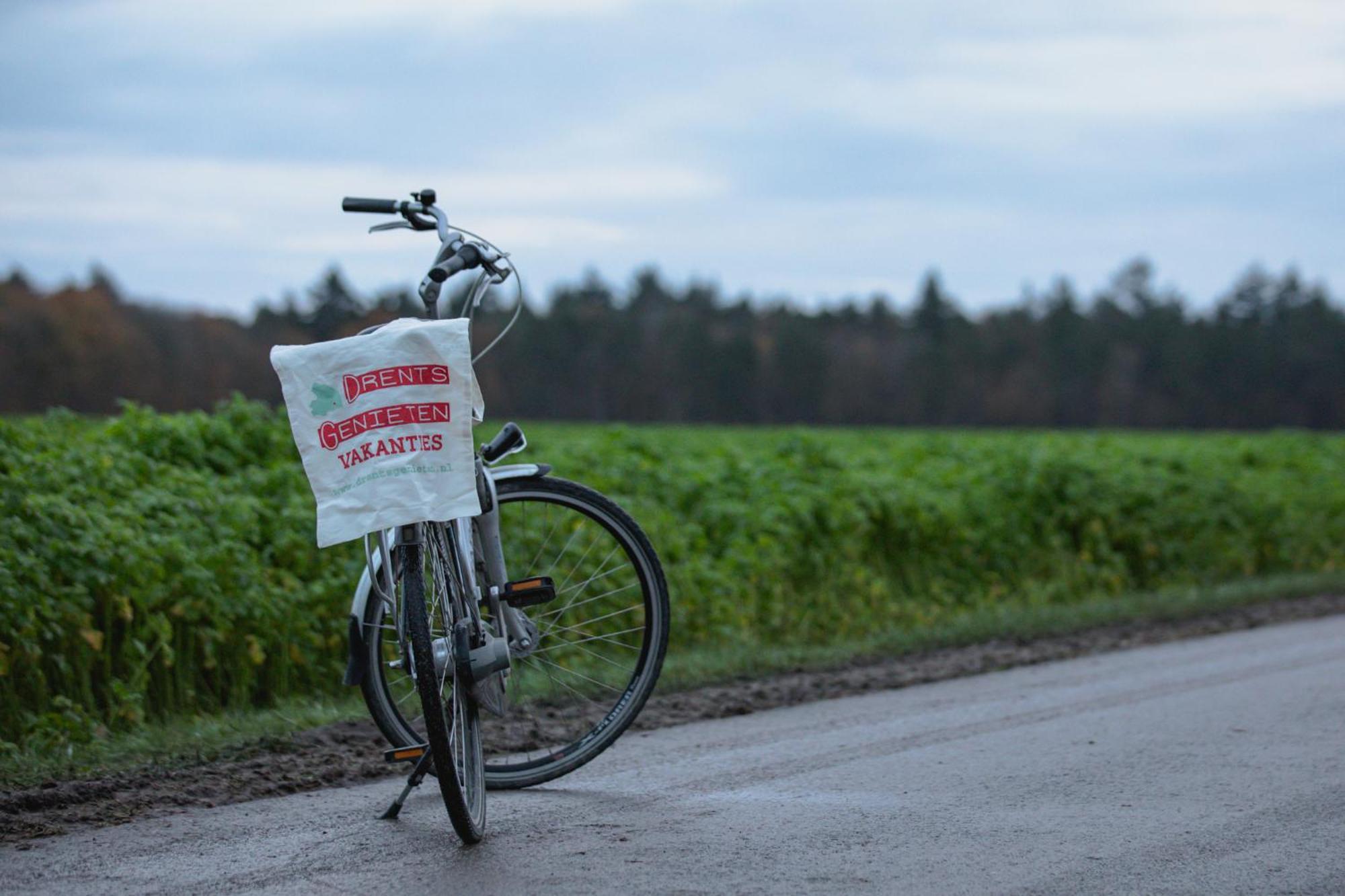 Drents Genieten - Lavendelheide Erm Exterior foto
